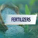 China Fertilizer Export in Aug, 2023