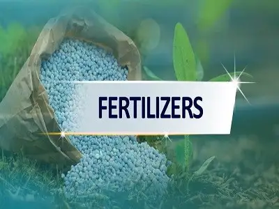China Fertilizer Export in Aug, 2023