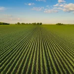 AdvanSix Awarded USDA Grant to Accelerate Growth of American Fertilizer Production