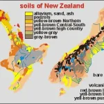 Premium Ammonium Sulphate,Perfect for New Zealand soil.
