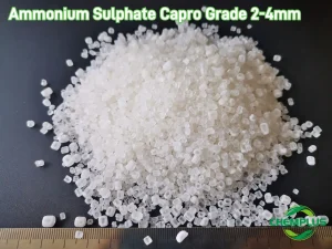 amsul capro 2-4mm (5)