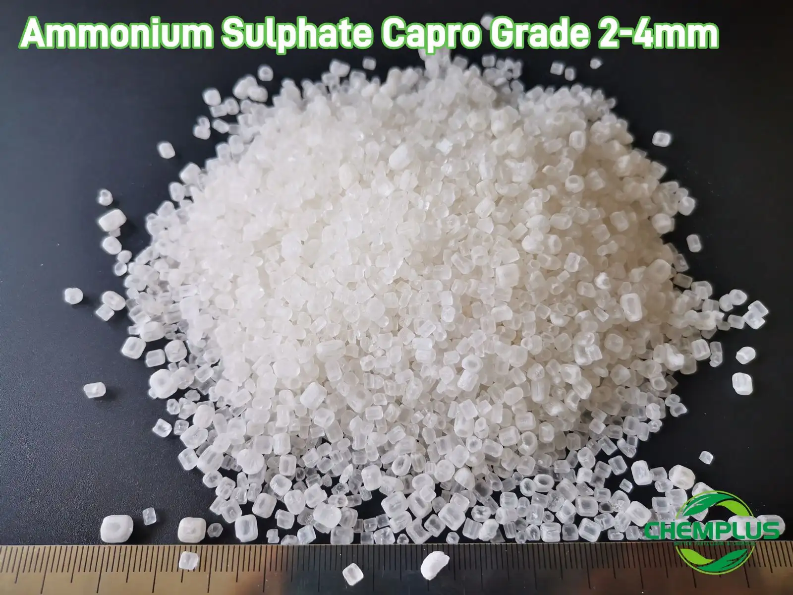 amsul capro 2-4mm (5)