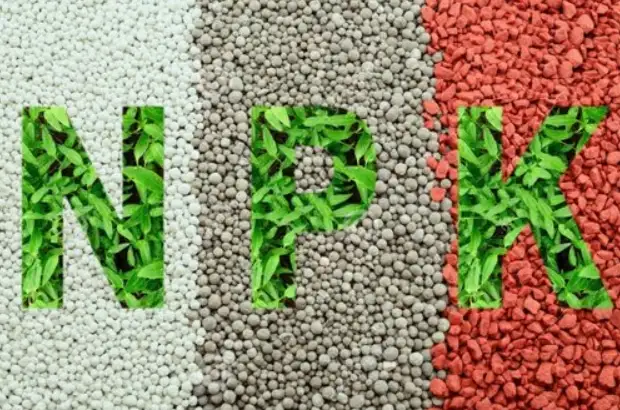 NPK Fertilizers- MONTHLY IMPORT BY PRODUCT 2022 in tons.