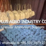 Chemplus granular ammonium sulphate ship by break bulk vessel