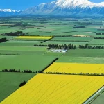 Boost Your Crop Yield with Premium Ammonium Sulfate Granules Now Available in New Zealand!