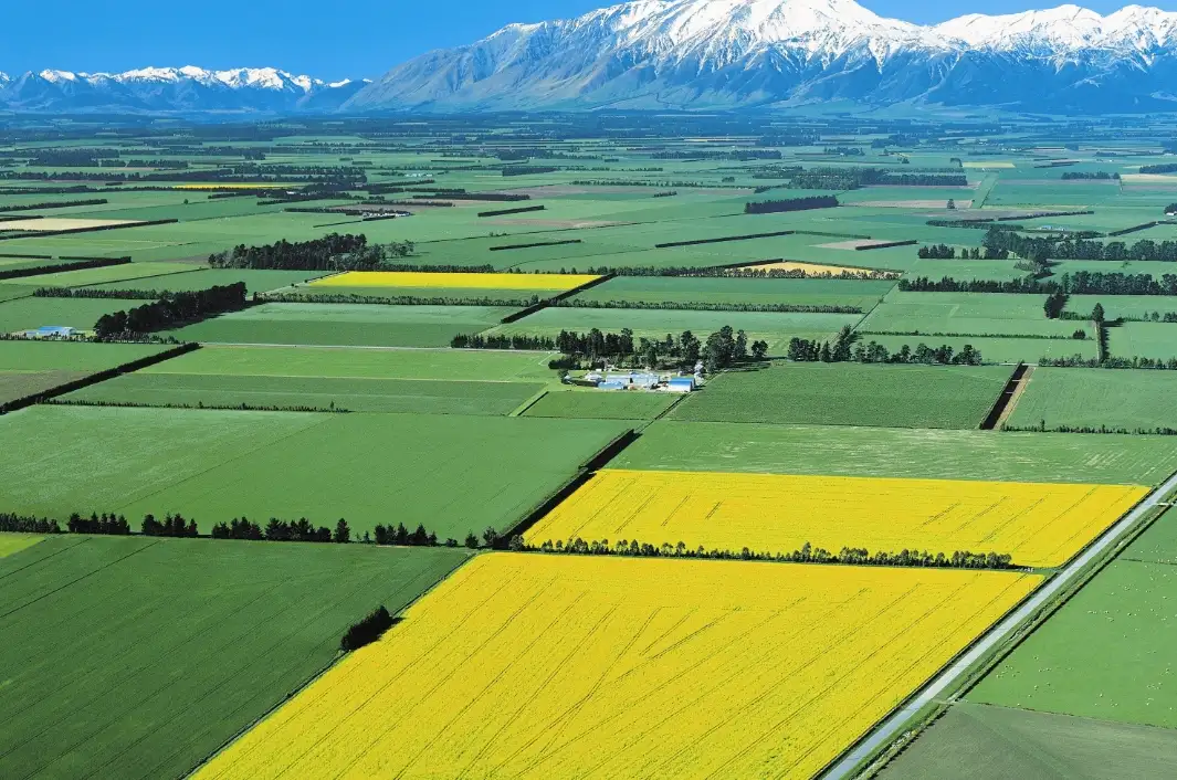 Boost Your Crop Yield with Premium Ammonium Sulfate Granules Now Available in New Zealand!