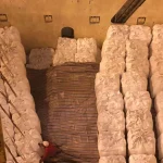 CHEMPLUS AGRO INDUSTRY CO., LTD Ships 500MT of Premium Granular Ammonium Sulphate to the Nigerian Market.